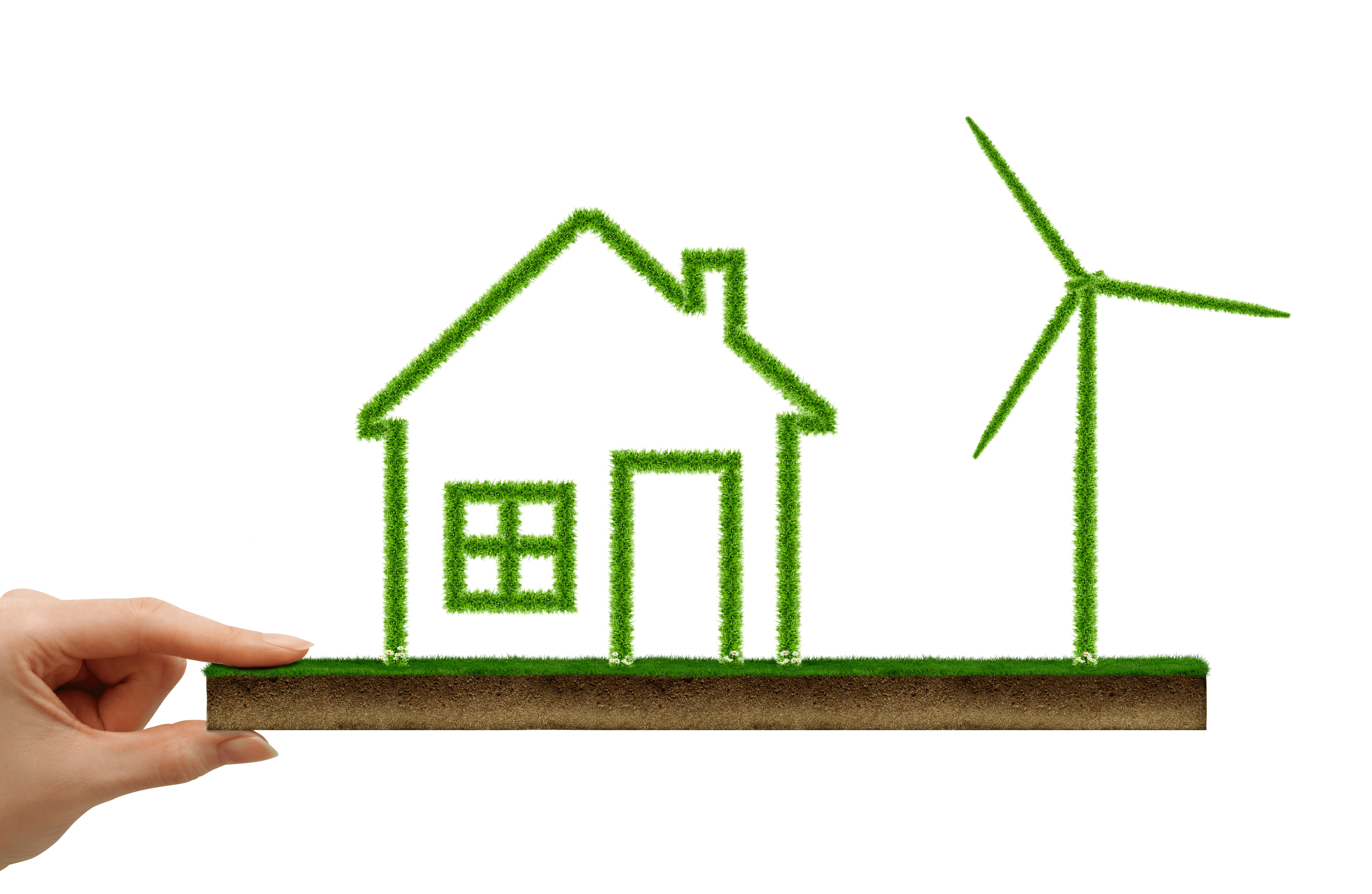 Seven Wonderful Tips For A Greener Home